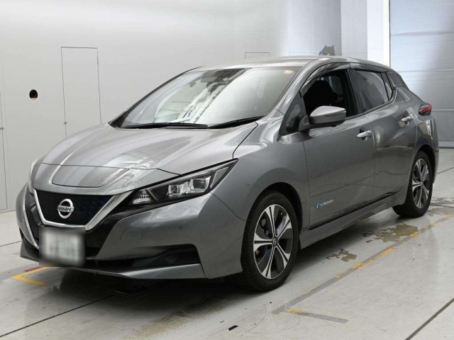 Nissan LEAF 2019 7389876-0