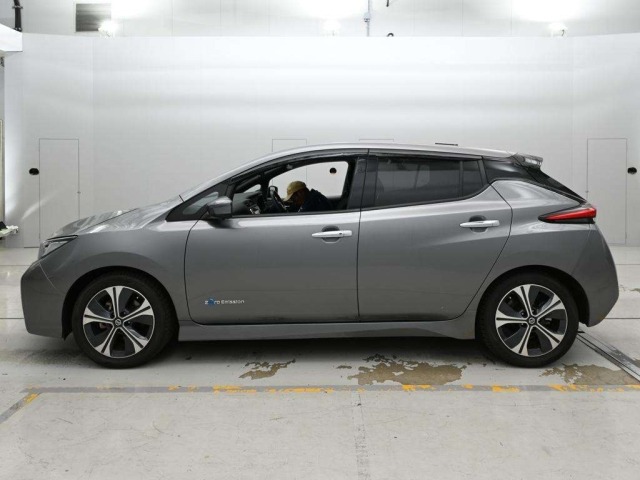 Nissan LEAF 2019 7389876-4