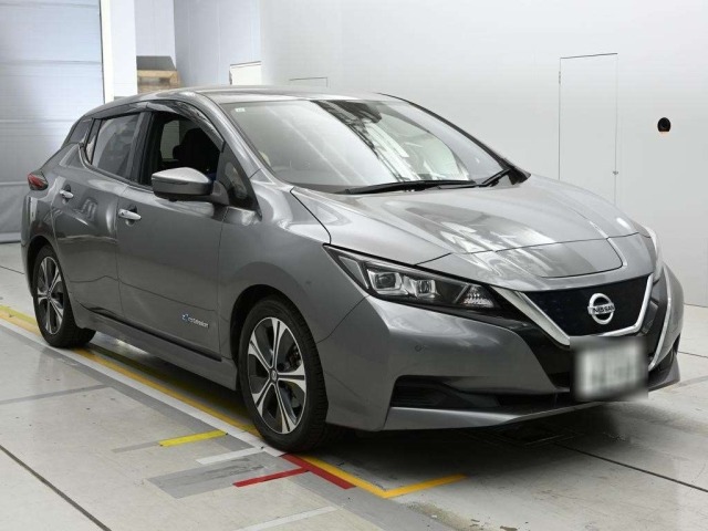 Nissan LEAF 2019 7389876-5