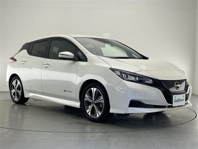 Nissan LEAF 2021 7390185-0