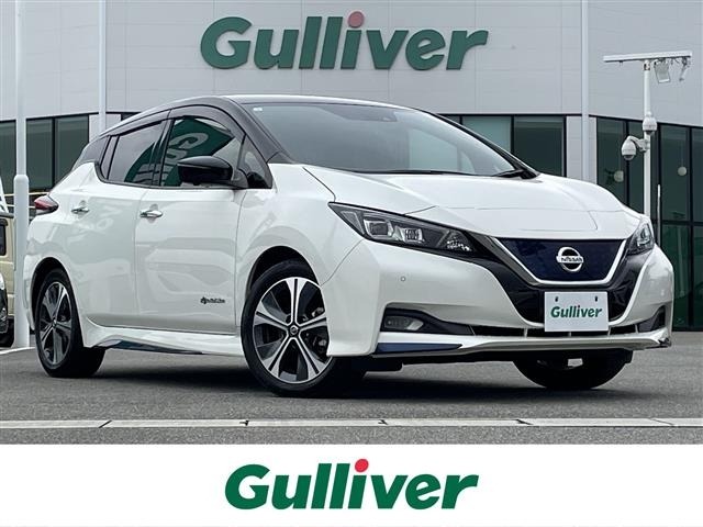 Nissan LEAF 2021 7390205-0