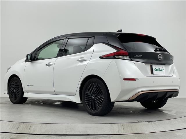 Nissan LEAF 2023 7390206-13