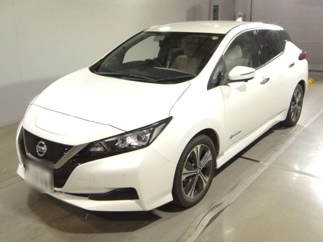 Nissan LEAF 2020 7390211-0