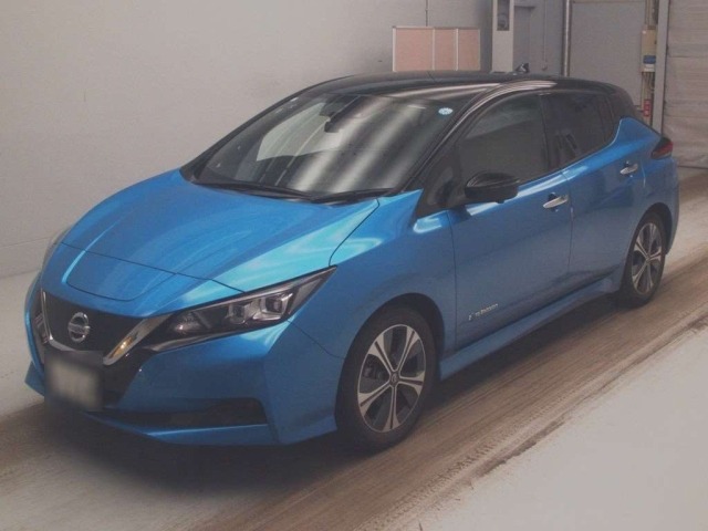Nissan LEAF 2020 7390215-0