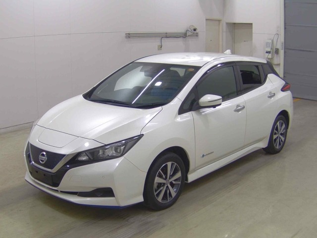 Nissan LEAF 2021 7390236-3