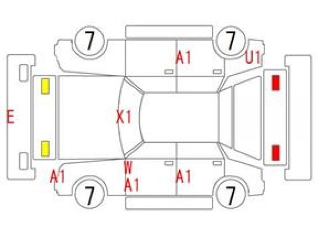 Nissan MURANO 2009 7418274-23