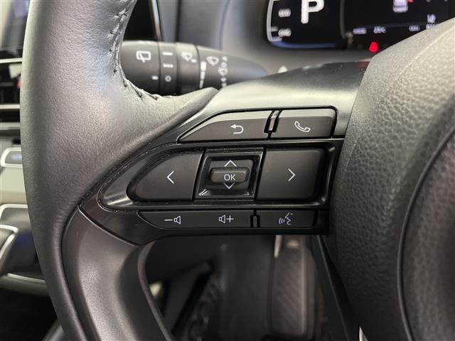 Toyota AQUA 2025 7424931-18