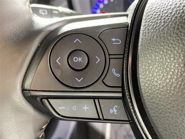 Toyota COROLLA TOURING 2020 7429421-10