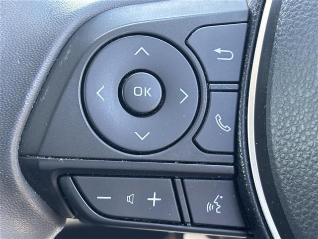 Toyota COROLLA TOURING 2019 7429436-21