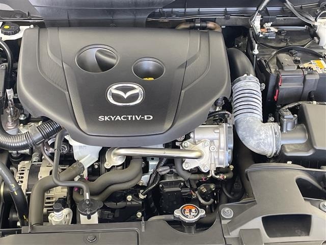 Mazda CX-3 2024 7427946-14