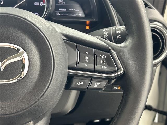 Mazda CX-3 2019 7427951-3