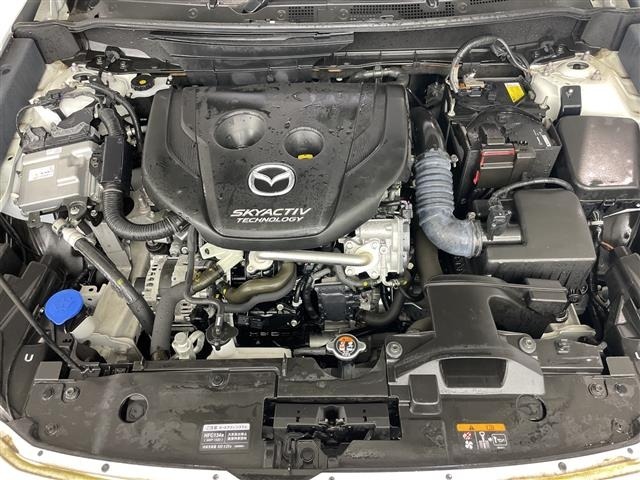 Mazda CX-3 2015 7427977-19