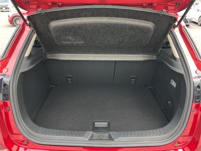 Mazda CX-3 2018 7427981-20