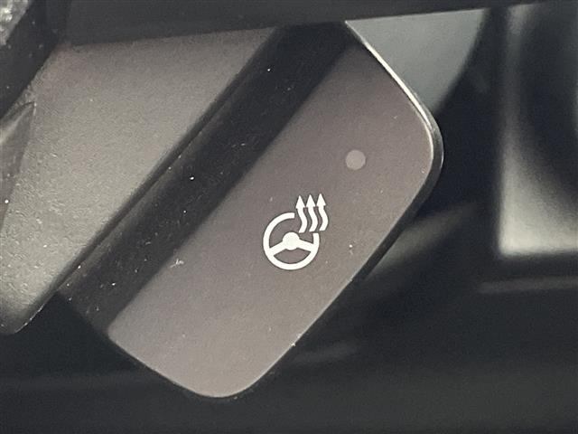 Subaru FORESTER 2019 7427557-22