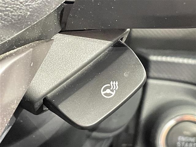 Subaru FORESTER 2018 7427571-19
