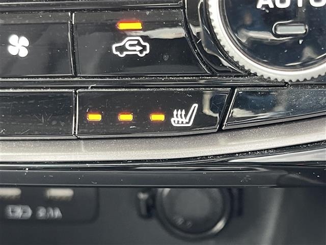 Subaru FORESTER 2019 7427580-3