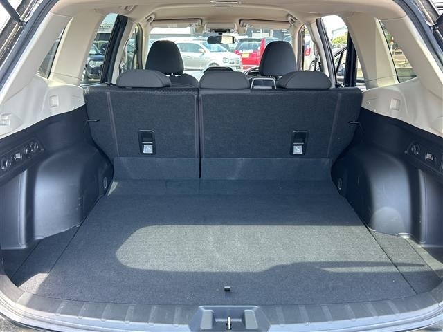 Subaru FORESTER 2019 7427587-10