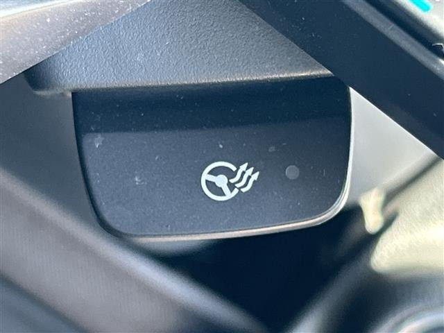 Subaru FORESTER 2019 7427587-19