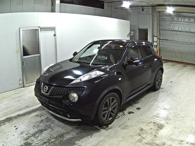 Nissan JUKE 2013 7428068-4