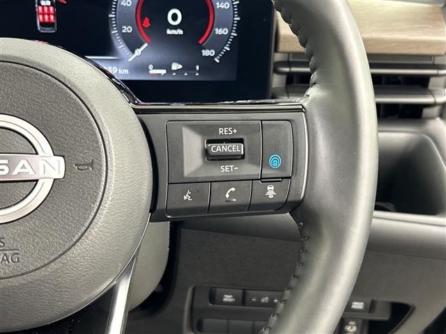 Nissan SERENA 2025 7429644-3