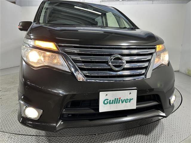 Nissan SERENA 2014 7429846-10