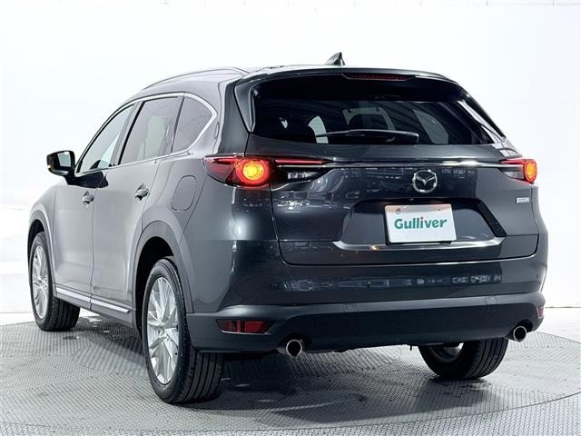 Mazda CX-8 2018 7448394-17