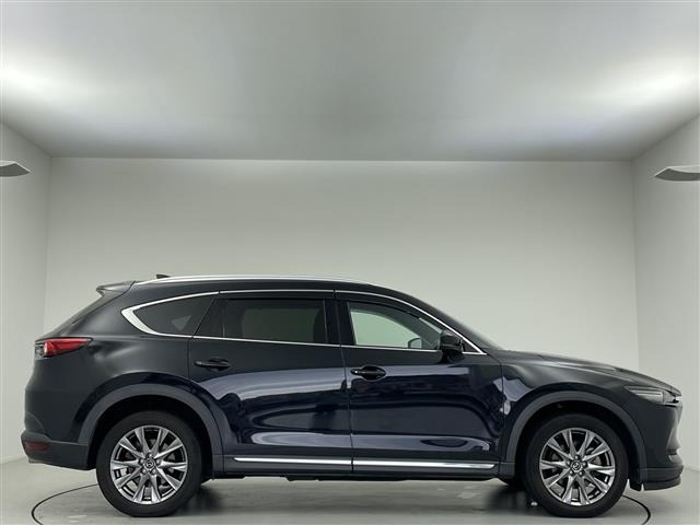 Mazda CX-8 2019 7448657-13