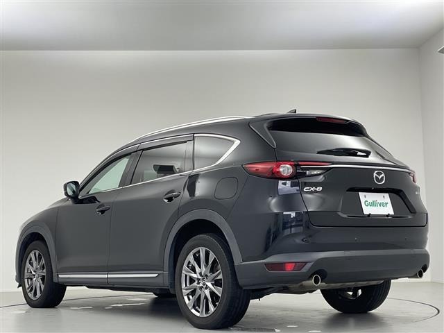 Mazda CX-8 2019 7448657-20