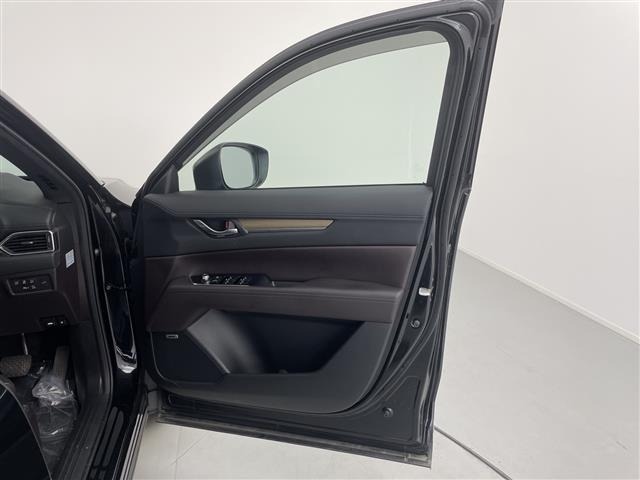 Mazda CX-8 2019 7448657-6