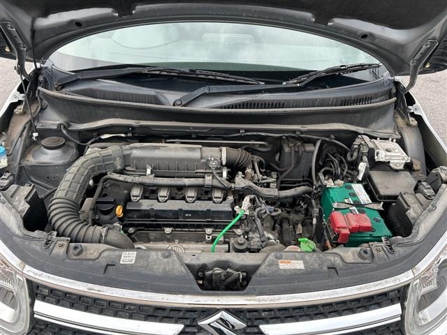 Suzuki IGNIS 2016 7442652-14