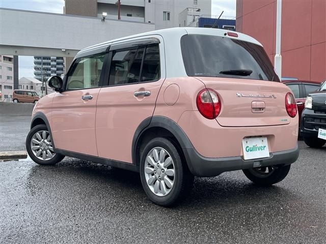 Suzuki LAPIN 2018 7431075-13