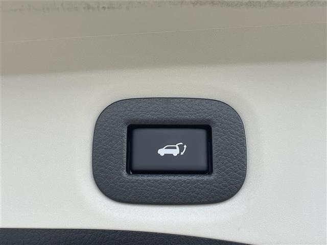 Nissan X-TRAIL 2018 7436354-21