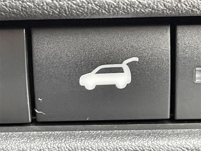 Nissan X-TRAIL 2022 7436412-19