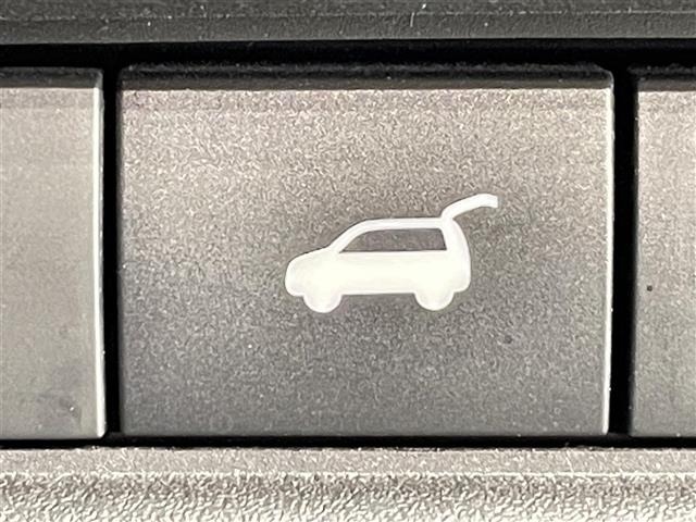Nissan X-TRAIL 2023 7436562-20