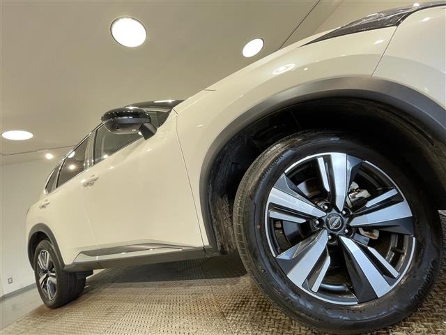 Nissan X-TRAIL 2023 7436562-21