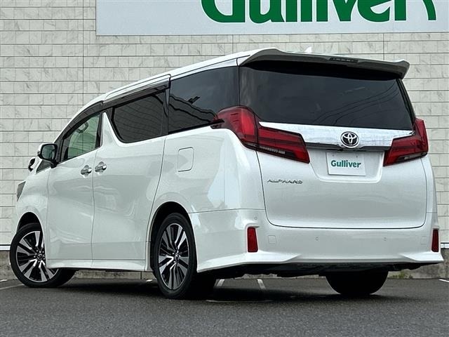 Toyota ALPHARD 2019 7483294-14