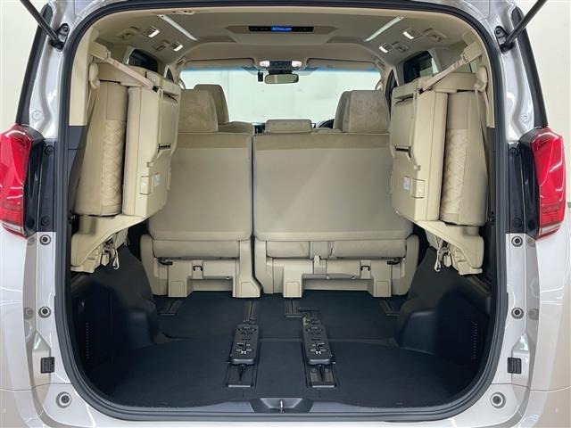 Toyota ALPHARD 2019 7483332-22