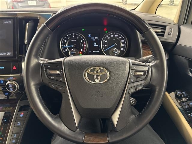 Toyota ALPHARD 2018 7483352-19