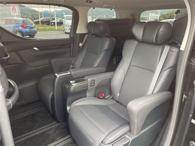 Toyota ALPHARD 2022 7483656-10