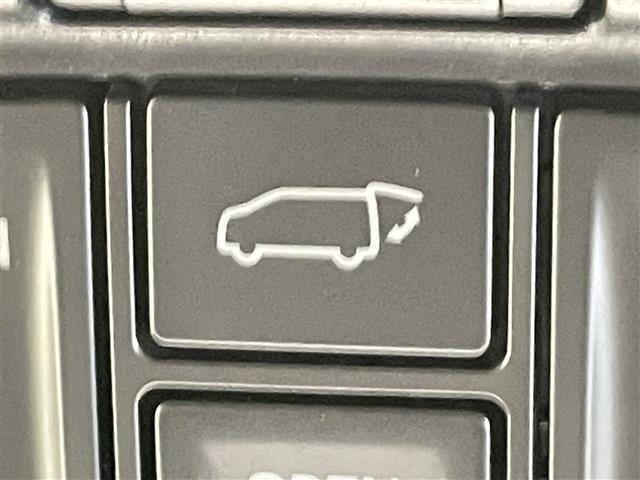 Toyota ALPHARD 2021 7483733-19