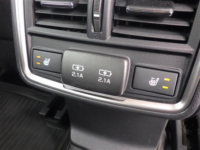 Subaru FORESTER 2021 7480902-23