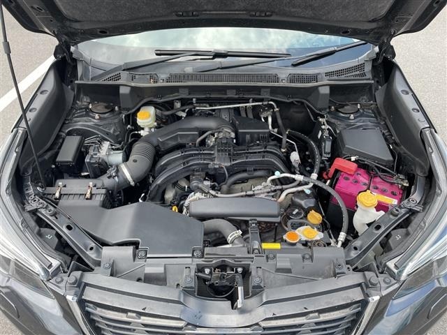 Subaru FORESTER 2018 7480913-14