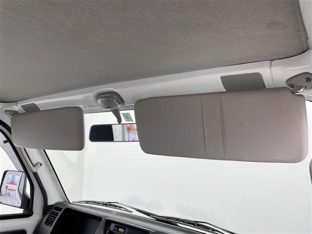 Suzuki CARRY TRUCK 2016 7492448-22