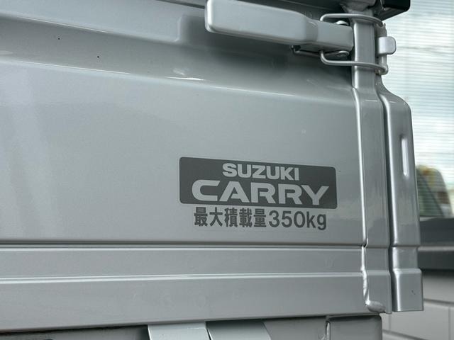 Suzuki CARRY TRUCK 2025 7492537-10