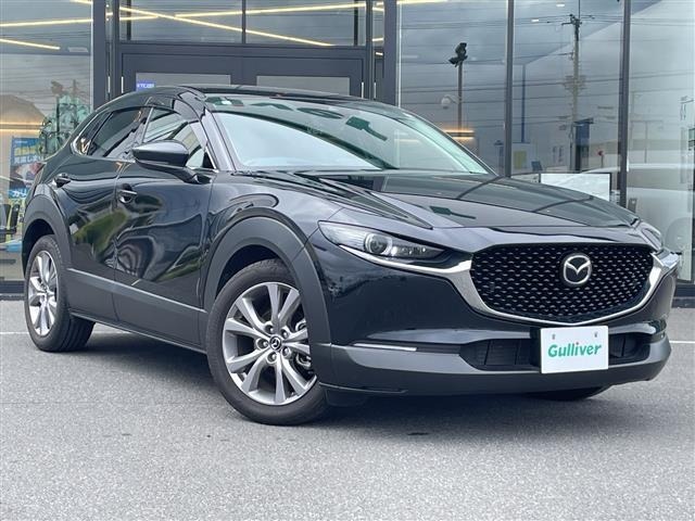 Mazda CX-30 2020 7490954-0