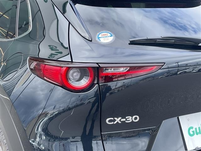 Mazda CX-30 2020 7490954-13