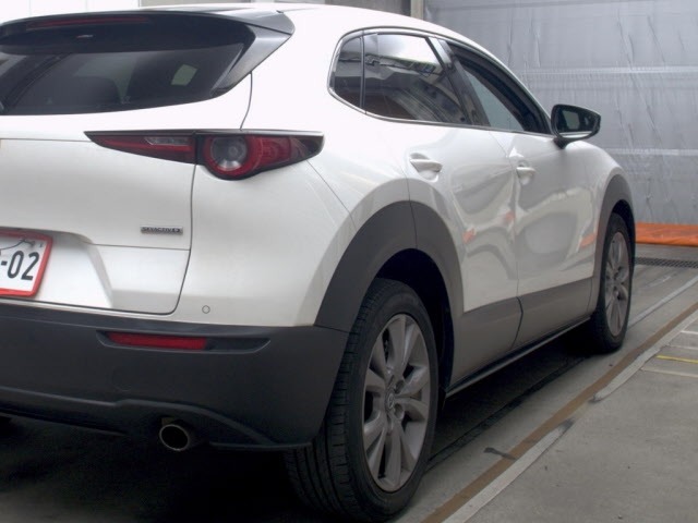 Mazda CX-30 2021 7490982-5