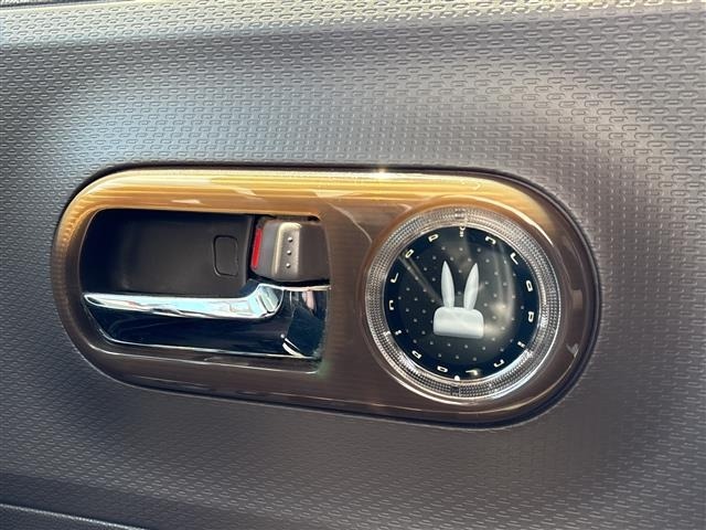 Suzuki LAPIN 2015 7485278-22