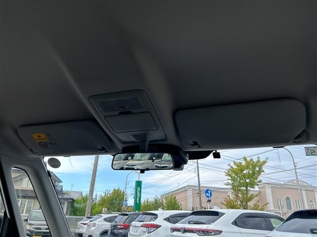 Suzuki SOLIO 2017 7485756-10