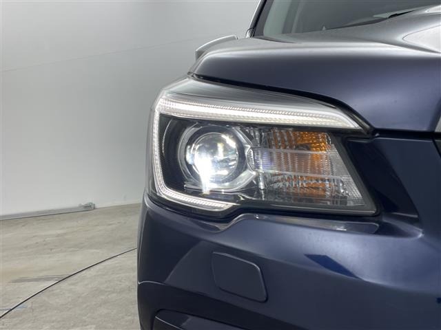 Subaru FORESTER 2019 7521889-11